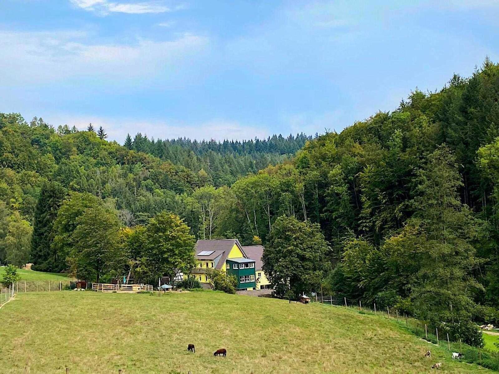Siegelsbacher Muehle ภายนอก รูปภาพ